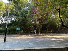 -水濂山森林公园