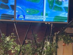 -吧嘚嘴炭烧鸽串吧(北海街店)