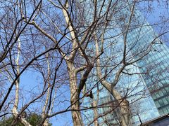 -静安公园(静安寺街道)