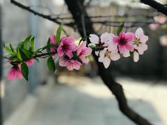 -中国人民抗日战争纪念雕塑园