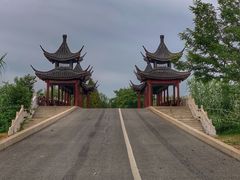 -泗洪洪泽湖湿地景区