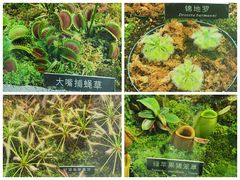 -国家植物园南园