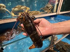 -鲜炉季港式打边炉(尚海湾店)