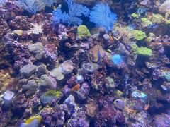 -海合安青岛极地海洋公园