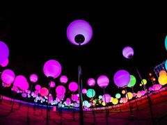 -锦江乐园舞狸花花游园会(夜场专享)