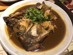 -瓷器(Market City)