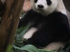 -香港海洋公园