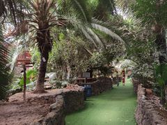 -呀路古热带植物园