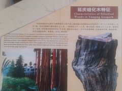 -延庆地质公园博物馆