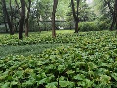 -玲珑塔公园