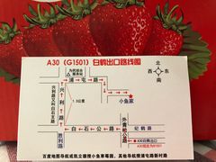 -小鱼草莓采摘园农家乐·小鱼餐厅