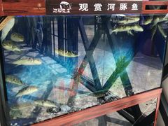 -肆月河豚·新淮扬(金融街店)
