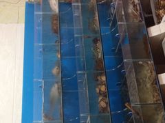 -宾朋海鲜特色美食餐厅·纯手工鲅鱼水饺(兴海路店)