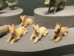 -广西壮族自治区博物馆