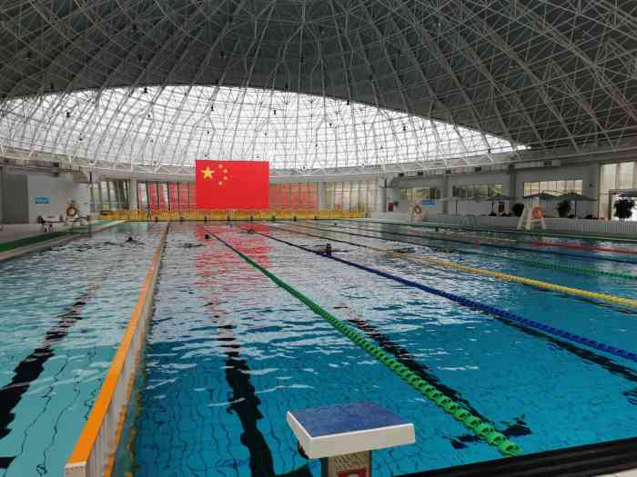 九龙游泳馆-"自由潜深度练习经常要来这个泳池,五米的深.