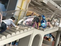 -KIDults童伴儿亲子餐厅(达美中心广场店)