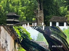-云中大漈
