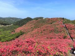 -大围山国家森林公园