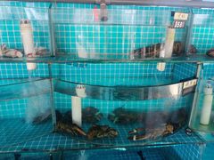 -老太太海鲜城(森林公园任家台店)