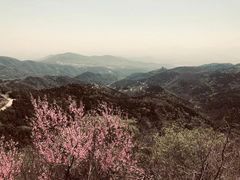 -香山公园