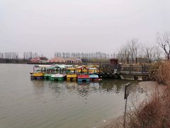 -上海长兴岛郊野公园