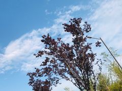 -西安软件新城软件研发基地2期