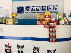 -爱诺动物医院(崂山店)