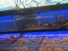 -透明思烤·自助烤肉海鲜火锅(东部星悦天地店)