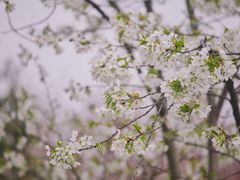 -白塘生态植物园