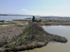 -漩门湾国家湿地公园