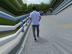 -呼兰河口湿地公园