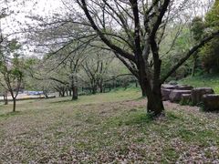 -苏州上方山国家森林公园