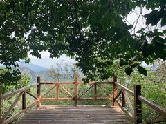 -大岭沟猕猴桃谷风景区