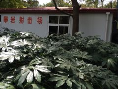 -共青国家森林公园-售票处