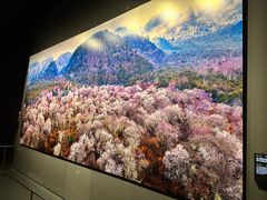 -罗红摄影艺术馆