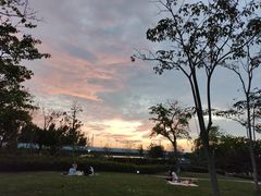 -宝安西湾红树林湿地公园