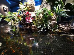 -映像威海·威海宴(威高广场店)