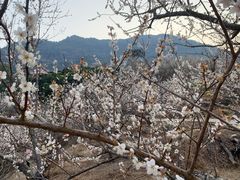-广州市流溪河国家森林公园