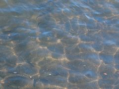 -台场海滨公园船码头