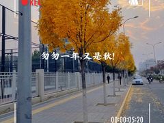 -首都医科大学附属北京天坛医院