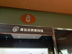 -青岛贝壳博物馆