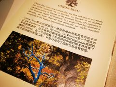 -翡翠36餐厅(浦东香格里拉店)