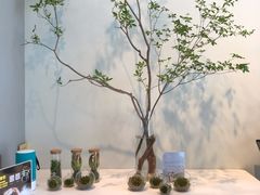 餐具摆设-dotcom coffee古点咖啡(致真大厦店)