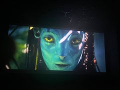 -华美国际影城(旧宫永辉店)