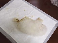 -康旭宠物医院(郑州总院)