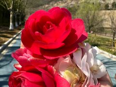 -金钉子远古世界景区