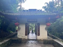 -鼎湖山风景区