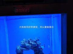 -海合安青岛极地海洋公园
