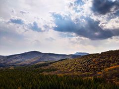 -塞罕坝国家级自然保护区