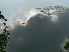-苏州图书馆(人民路总馆)